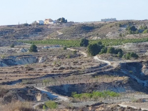 Casa Alta 5